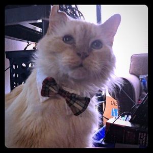 Meet your Posher, Emily